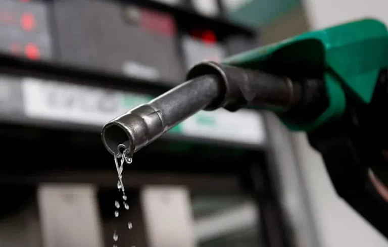 Federal Government Determined on Fuel Subsidy Removal