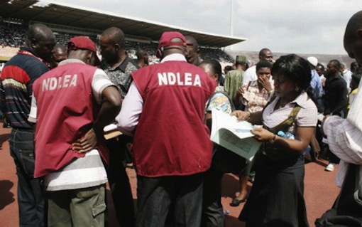 NDLEA Personnel