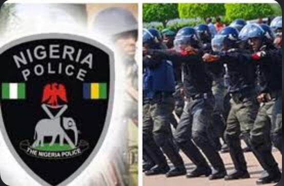 NPF: Successful Candidates to Check Application Status on Recruitment Portal